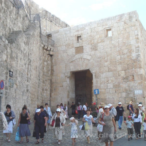 Поездка в Израиль 2008