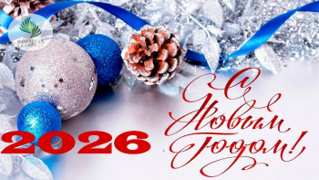 С Новым 2026 года!