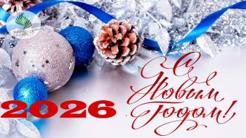 С Новым 2026 годом!